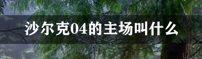 沙尔克04的主场叫什么