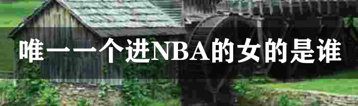 唯一一个进NBA的女的是谁