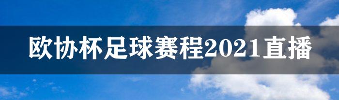 欧协杯足球赛程2021直播