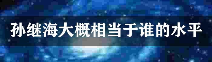 孙继海大概相当于谁的水平