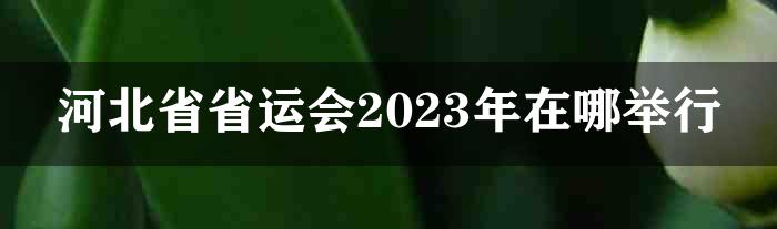 河北省省运会2023年在哪举行