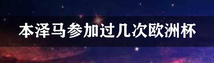 本泽马参加过几次欧洲杯