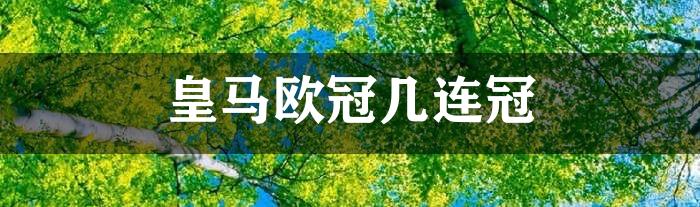 皇马欧冠几连冠