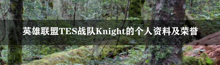 英雄联盟TES战队Knight的个人资料及荣誉