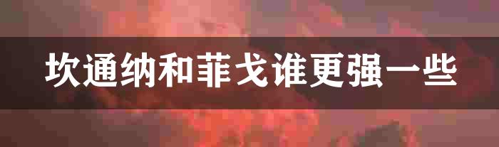 坎通纳和菲戈谁更强一些