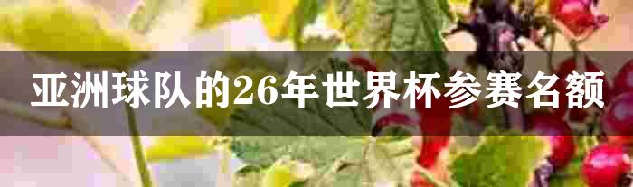 亚洲球队的26年世界杯参赛名额