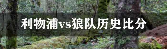 利物浦vs狼队历史比分