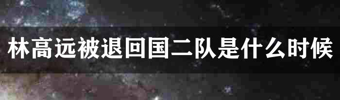 林高远被退回国二队是什么时候