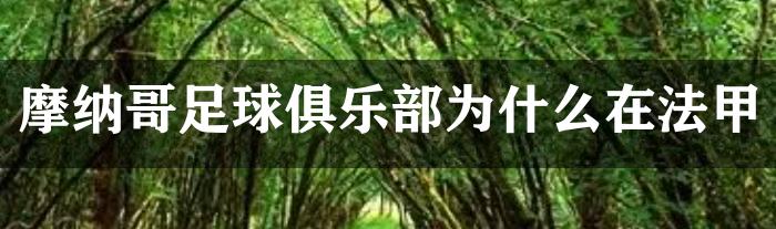 摩纳哥足球俱乐部为什么在法甲