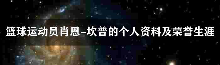 篮球运动员肖恩-坎普的个人资料及荣誉生涯