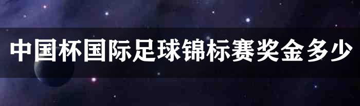 中国杯国际足球锦标赛奖金多少