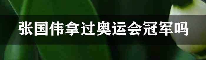 张国伟拿过奥运会冠军吗