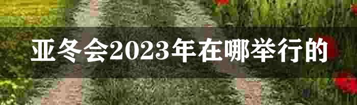 亚冬会2023年在哪举行的