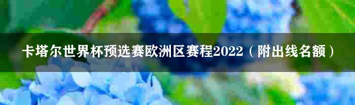 卡塔尔世界杯预选赛欧洲区赛程2022（附出线名额）