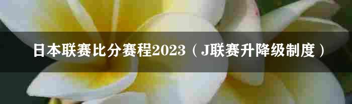 日本联赛比分赛程2023（J联赛升降级制度）