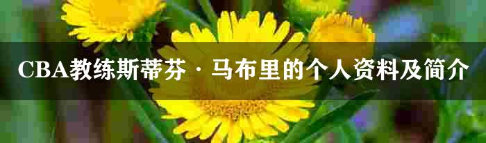 CBA教练斯蒂芬·马布里的个人资料及简介