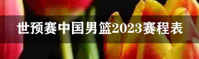 世预赛中国男篮2023赛程表