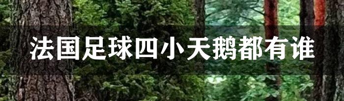 法国足球四小天鹅都有谁