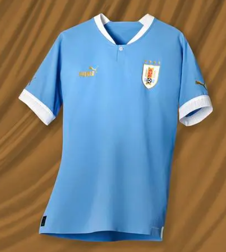 乌拉圭国家队球衣(乌拉圭国家队球衣图片)