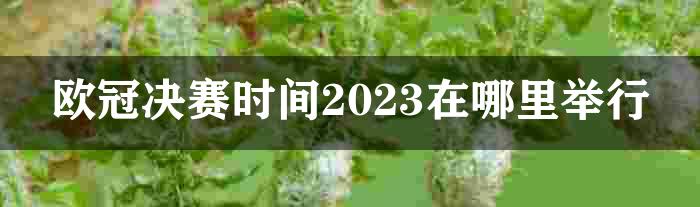 欧冠决赛时间2023在哪里举行