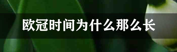 欧冠时间为什么那么长