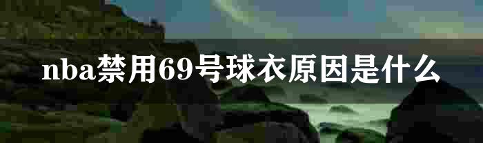 nba禁用69号球衣原因是什么