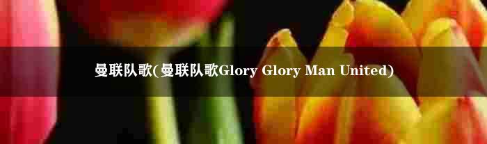 曼联队歌(曼联队歌Glory Glory Man United)