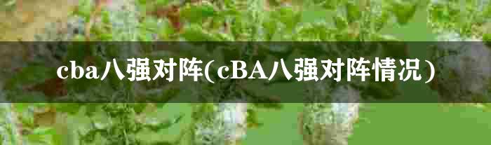 cba八强对阵(cBA八强对阵情况)
