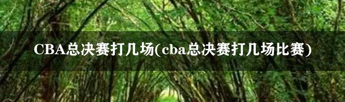 CBA总决赛打几场(cba总决赛打几场比赛)