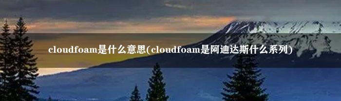 cloudfoam是什么意思(cloudfoam是阿迪达斯什么系列)