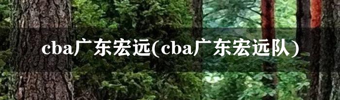 cba广东宏远(cba广东宏远队)