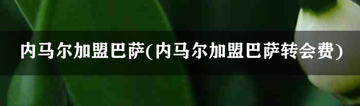 内马尔加盟巴萨(内马尔加盟巴萨转会费)