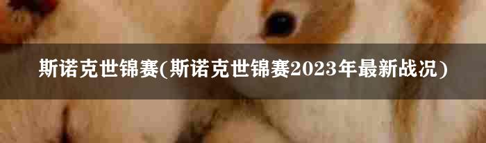 斯诺克世锦赛(斯诺克世锦赛2023年最新战况)