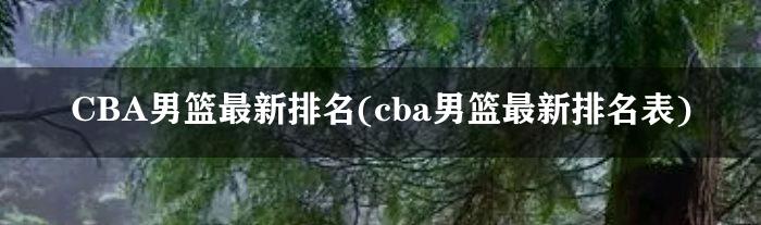 CBA男篮最新排名(cba男篮最新排名表)