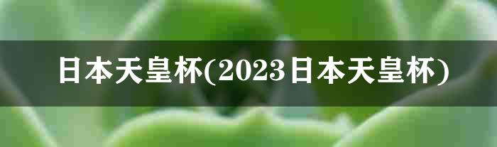 日本天皇杯(2023日本天皇杯)