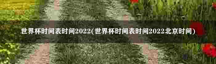 世界杯时间表时间2022(世界杯时间表时间2022北京时间)