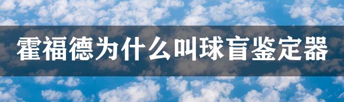 霍福德为什么叫球盲鉴定器