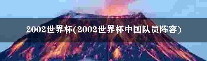 2002世界杯(2002世界杯中国队员阵容)