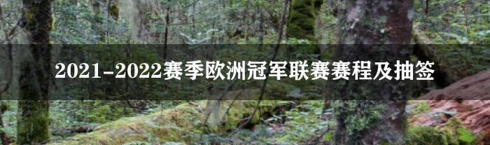 2021-2022赛季欧洲冠军联赛赛程及抽签