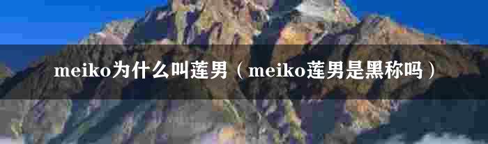 meiko为什么叫莲男（meiko莲男是黑称吗）