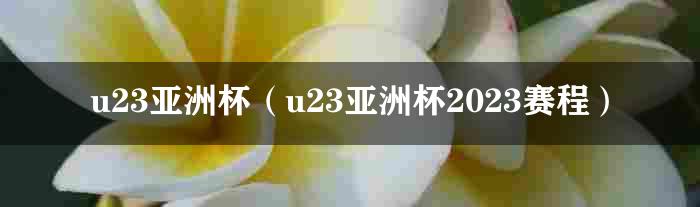 u23亚洲杯（u23亚洲杯2023赛程）