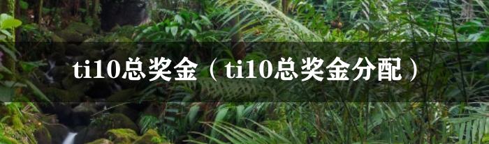 ti10总奖金（ti10总奖金分配）