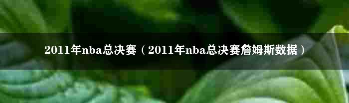 2011年nba总决赛（2011年nba总决赛詹姆斯数据）
