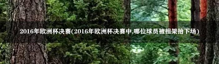 2016年欧洲杯决赛(2016年欧洲杯决赛中,哪位球员被担架抬下场)