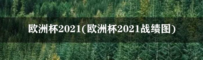 欧洲杯2021(欧洲杯2021战绩图)