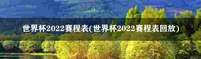 世界杯2022赛程表(世界杯2022赛程表回放)