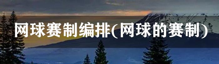 网球赛制编排(网球的赛制)