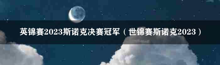 英锦赛2023斯诺克决赛冠军（世锦赛斯诺克2023）