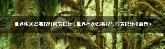 世界杯2022赛程时间表积分（世界杯2022赛程时间表积分榜最新）