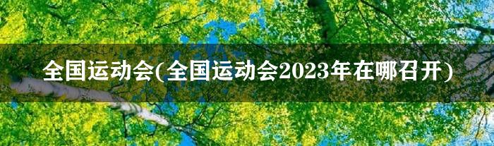 全国运动会(全国运动会2023年在哪召开)